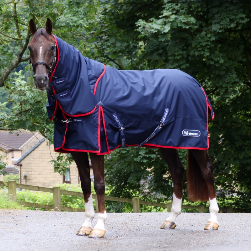 R444 Rastrick V2 250g Combo Turnout Rug